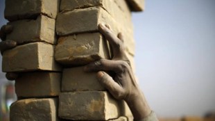 orange passport, orange passport row, why orange passport, government stand on orange passport, whom to give orange passport