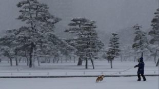 tokyo, tokyo snowstorm, tokyo railway, tokyo airways, tokyo airlines, tokyo trains, japan snowstorm, japan weather, tokyo weather