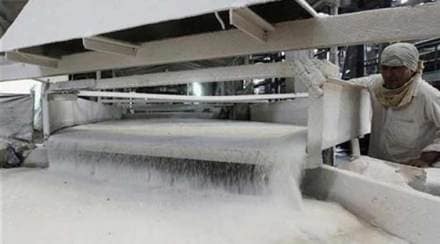UP sugar mills, up, uttar pradesh, sugar mills, sugar, ngt