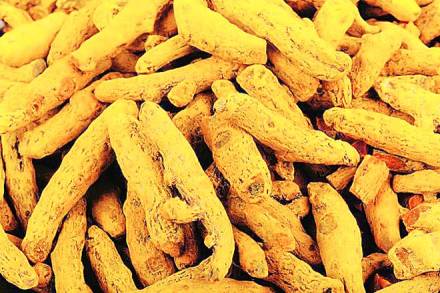 turmeric prices today, turmeric production in india, india turmeric production