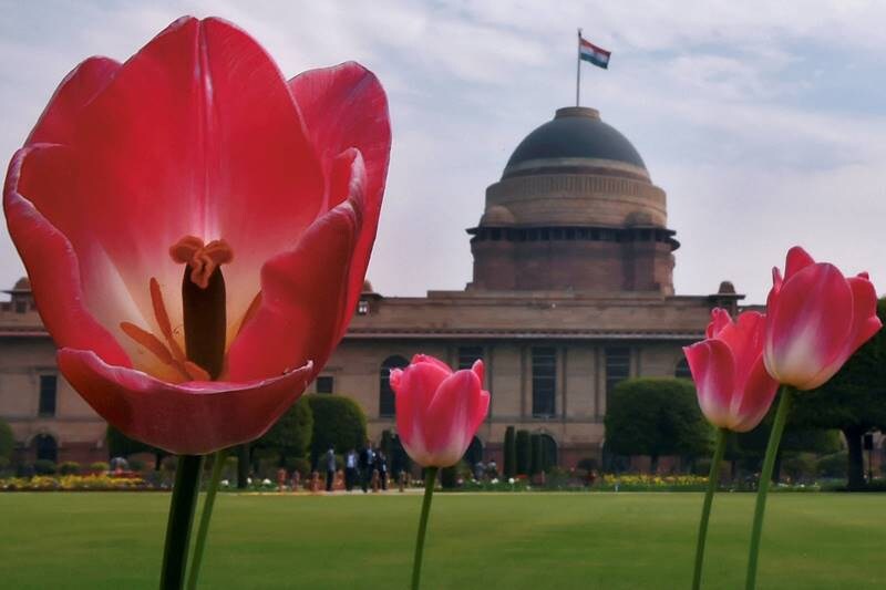 Mughal Gardens, Rashtrapati Bhavan, Mughal Gardens of Rashtrapati Bhavan, Mughal Gardens open, when is Mughal Gardens opening, Mughal Gardens photos, flowers, flower show, tulip, roses, Mughal Gardens open for public, Mughal Gardens timings, Udyanotsav