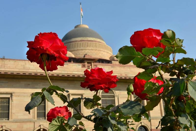 Mughal Gardens, Rashtrapati Bhavan, Mughal Gardens of Rashtrapati Bhavan, Mughal Gardens open, when is Mughal Gardens opening, Mughal Gardens photos, flowers, flower show, tulip, roses, Mughal Gardens open for public, Mughal Gardens timings, Udyanotsav