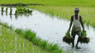 Agri-tech startup Agricxlab raises $500,000 from Ankur Capital and CIIE