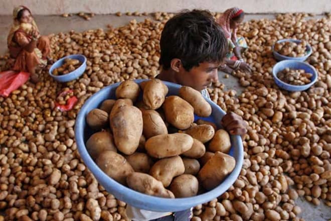 Marxist government in Kerala is close to harvesting a business opportunity in Uttar Pradesh,