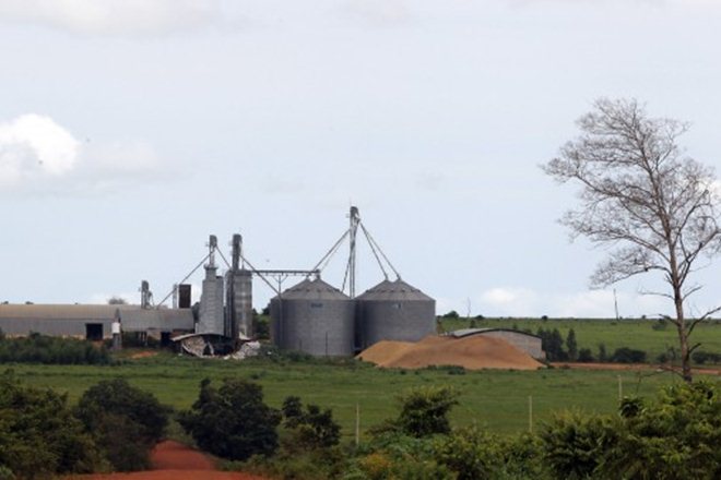 rice silos, high tech silos, food corporation of india, rice-producing states, main rice growing state, central warehousing corporation