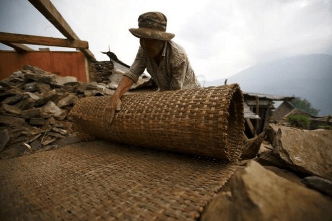 Budget 2018 and Bamboo: Why Modi is after this ‘Green Gold’ Budget 2018 and Bamboo: Why Modi is after this ‘Green Gold’