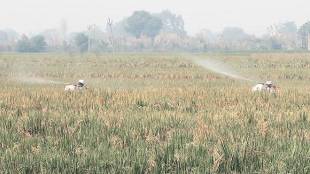 Budget 2018: Budget 2018, for infra, recognises two realities — agrarian distress and the last year before the general elections. It seeks to address both these realities.