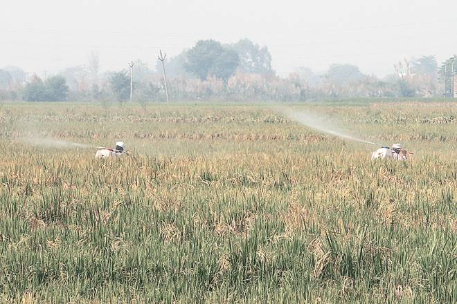 Budget 2018: Budget 2018, for infra, recognises two realities — agrarian distress and the last year before the general elections. It seeks to address both these realities. Budget 2018: Budget 2018, for infra, recognises two realities — agrarian distress and the last year before the general elections. It seeks to address both these realities.