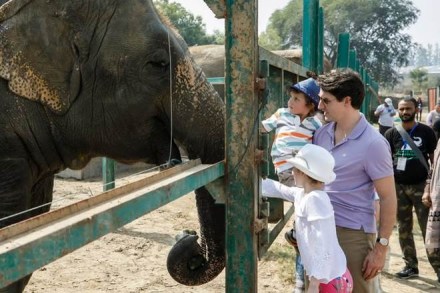 Justin Trudeau India visit, Trudeau India visit, Trudeau in India, Canadian PM, Mathura wildlife sanctuary Justin Trudeau India visit, Trudeau India visit, Trudeau in India, Canadian PM, Mathura wildlife sanctuary