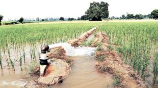Budget 2018: The thrust on boosting rural development and farmer welfare remains a positive for the farm sector.