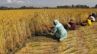 Budget 2018: Arun Jaitley presented Union Budget on Feb 1