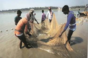CMFRI, fishery, farmers, fish seller website, farmer website, fishery mobile app, farmer mobile app, marinefishsales website
