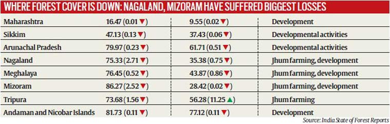 forest, forest data, forest cover, india forest, forest data, forest cover, india