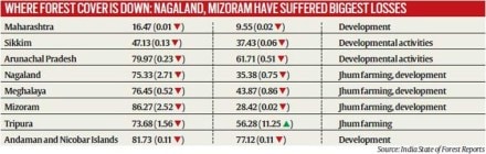 forest, forest data, forest cover, india forest, forest data, forest cover, india