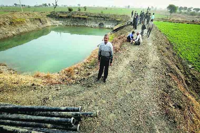 Water harvest, Punjab, DBT, farm sector, paddy, punjab farmers