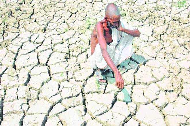 Land scarcity, LANDLESS LABOURS, FARMERS, AGRICULTURE SECTOR, ECONOMY, AGRICULTURE INDUSTRY