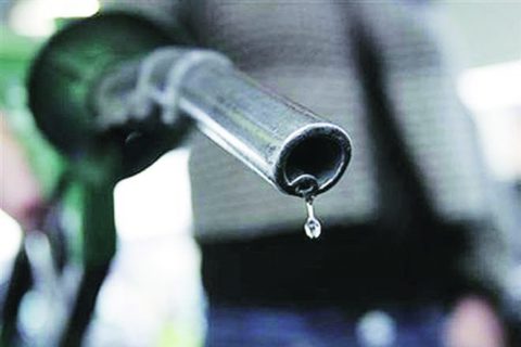 Dharmendra Pradhan, petroleum, natural gas, motor fuels, Petroleum and Explosives Safety Organisation, Indian Oil Corporation