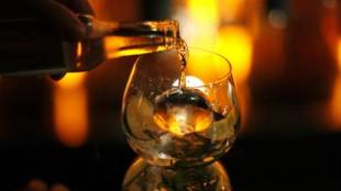gin, narendra bhawan, bombay sapphire, gin in india, hendricks, T10