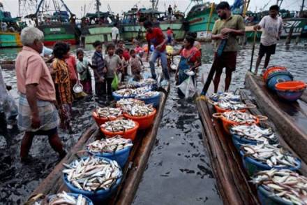 aquaculture, GPS database, aquaculture export, MPEDA, shrimp production 
