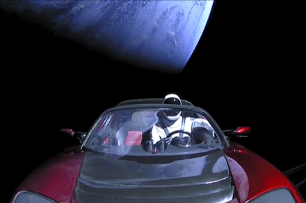 Elon Musk, Tesla car, space, bacteria from Earth, scientists, SpaceX's rocket test flight, SpaceX, NASA Elon Musk, Tesla car, space, bacteria from Earth, scientists, SpaceX's rocket test flight, SpaceX, NASA