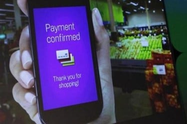 Google Tez, google, payment