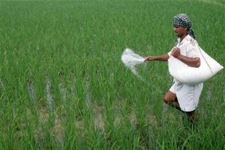 DBT, fertiliser, subsidy savings