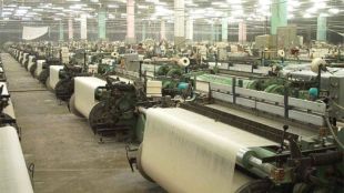 ramie, fabric, eco friendly fabric, ramie fabric, ramie fibre, meghalaya