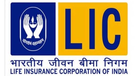 finance ministry, IRFC, LIC, IRFC bonds finance ministry, IRFC, LIC, IRFC bonds
