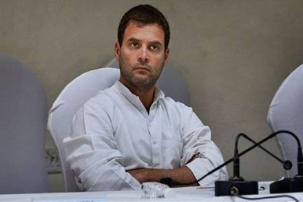 Rahul Gandhi, Sharad Pawar, bypoll results, NCP, Araria seat, bihar, Yogi Adiyanath, Phulpur, Keshav Prasad Maurya, BSP, Gorakhpur seat, rjd Rahul Gandhi, Sharad Pawar, bypoll results, NCP, Araria seat, bihar, Yogi Adiyanath, Phulpur, Keshav Prasad Maurya, BSP, Gorakhpur seat, rjd
