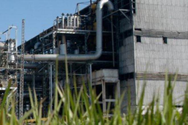 Simbhaoli Sugars shares crash 9% to 52-week low as CBI questions MD in bank fraud case