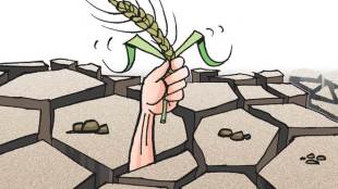 The rural economy is improving