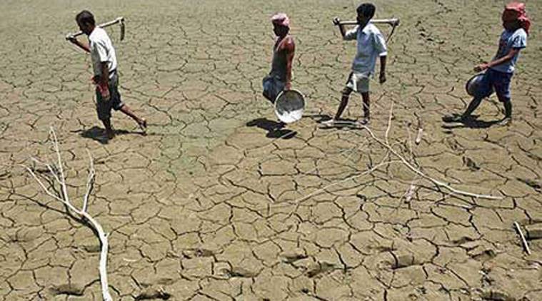 FARMERS IN INDIA, FARMERS, AGRICULTURE SECTOR, ECONOMY