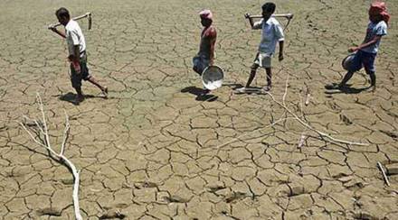 FARMERS IN INDIA, FARMERS, AGRICULTURE SECTOR, ECONOMY