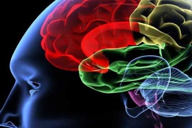 intelligent, IQ power, higher salary, how to get fat salary, IQ level, how to raise IQ level