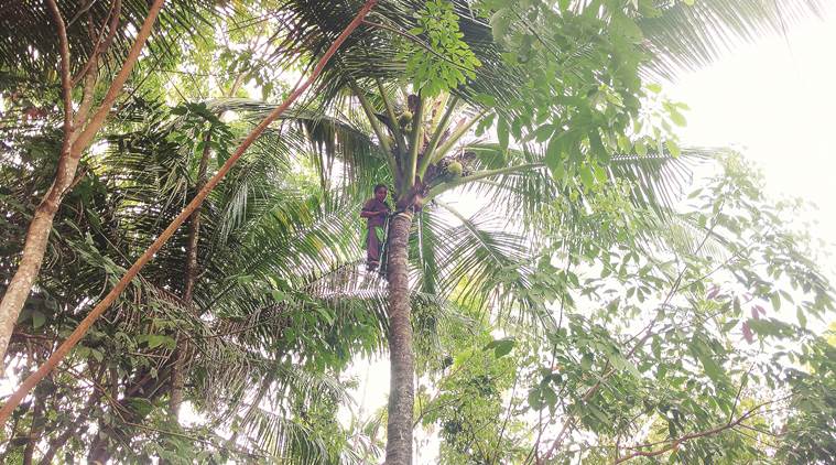 Pinarayi Vijayan, kerala, kerala government, kerala opposition, kerala police, unruly police, police, Thiruvanchoor Radhakrishnan Pinarayi Vijayan, kerala, kerala government, kerala opposition, kerala police, unruly police, police, Thiruvanchoor Radhakrishnan