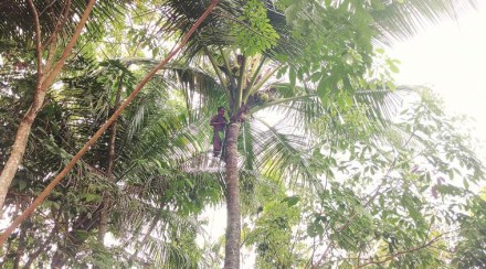 Pinarayi Vijayan, kerala, kerala government, kerala opposition, kerala police, unruly police, police, Thiruvanchoor Radhakrishnan