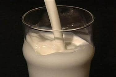 Platypus milk, antibacterial properties, benefits of Platypus milk, drug resistant pathogens, Platypus milk can fight superbugs