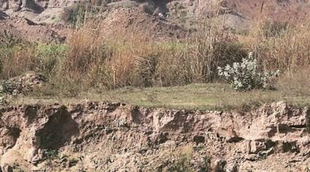 mmdr act, mining sector, mining sector in india, centre, narendra modi government, economy, india economy