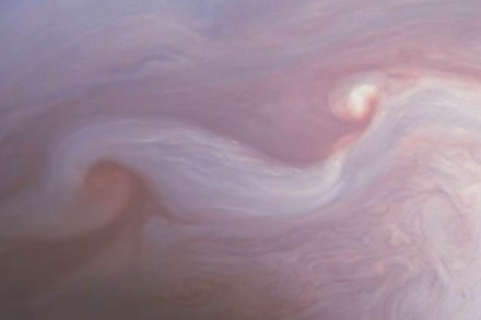 NASA, White House, NASA budget, Mars, the Space Launch System, astronauts, rocket, SLS