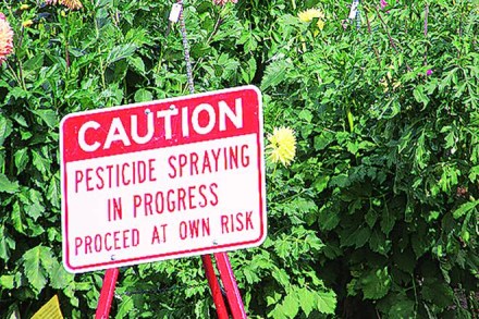 draft pesticide bill, Centre for Environment and Agrochemicals, pesiticide manufacturers