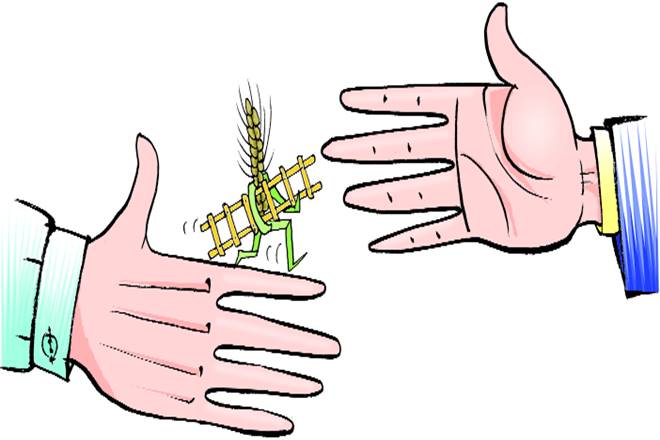 trade, wto, world trade organisation