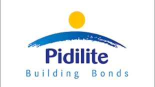 Pidilite, GDP, GDP growth, CIPY Polyurethanes, floor coatings market, india