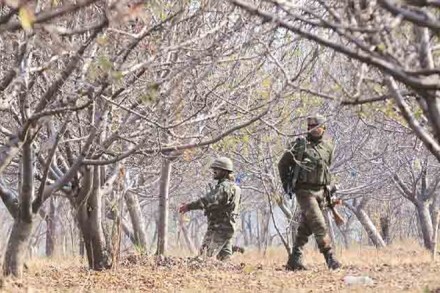 anantnag encounter, jammu kashmir encounter, terrorist killed, militants killed, srinagar restrictions, jammu kashmir restrictions, anantnag