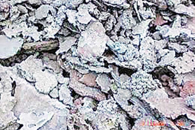 steel, steel slag, fertiliser, crop fertiliser, soil fertiliser