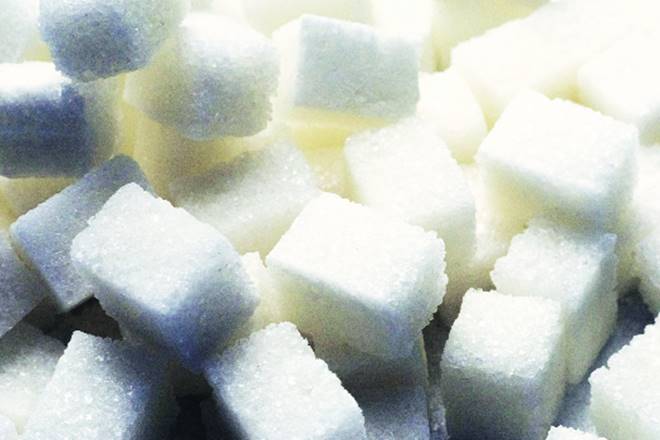 Sugar production , sugar industry, sugar