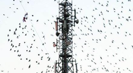 telecon, telecom sector, trai, RCOM, TTSL, Aircel, BSNL