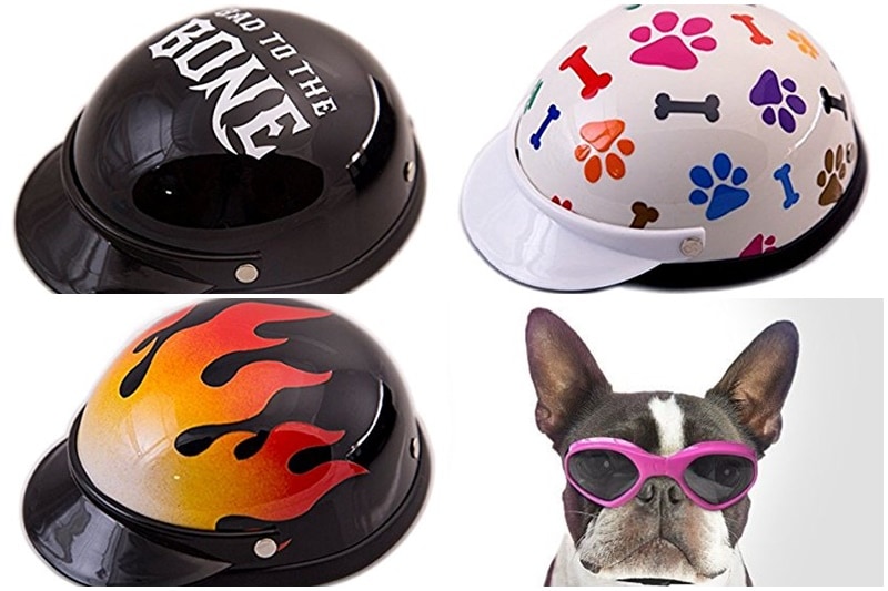 These are legit helmets for dogs and small pets. If you're going to put a dog on a scooter or in your backpack on a motorcycle, at least get the little guy a helmet. (Image: Amazon)