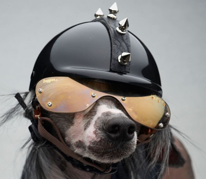 Helmets serves two purposes – a) protect your head, obviously and b) look cool. Motorcyclists are willing to fish out a lot of money for the right helmet. While we've written several times before about how and where and for how much you can buy a proper helmet for yourself, this time we're talking about some helmets that are downright outrageous, but some are genuinely cool: