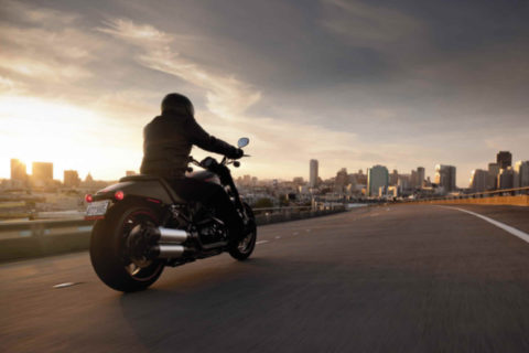 Free Harley Davidson & an all-expenses paid road trip: how to apply for the best internship in the world!