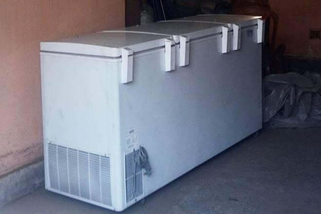 kolkata, kolkata murder, kolkata shocker, kolkata shocking murder, kolkata refrigrator murder, kolkata man stores mothers body, kolkata death, kolkata mummifying, kolkata news kolkata, kolkata murder, kolkata shocker, kolkata shocking murder, kolkata refrigrator murder, kolkata man stores mothers body, kolkata death, kolkata mummifying, kolkata news